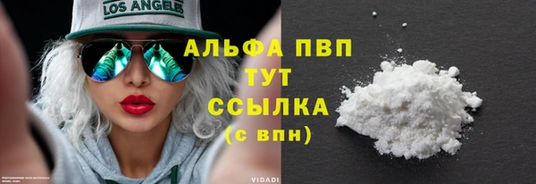 PSILOCYBIN Кулебаки