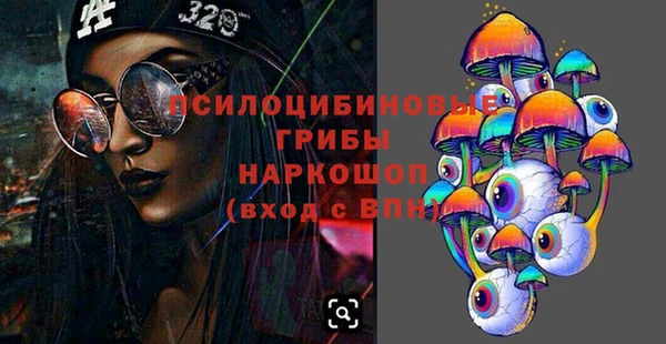 mdpv Михайловск