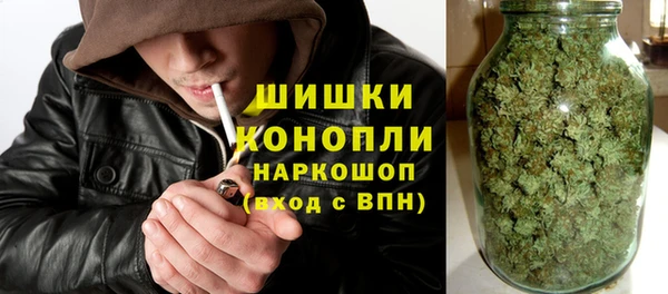 винт Ессентукская