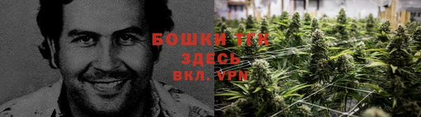 PSILOCYBIN Кулебаки